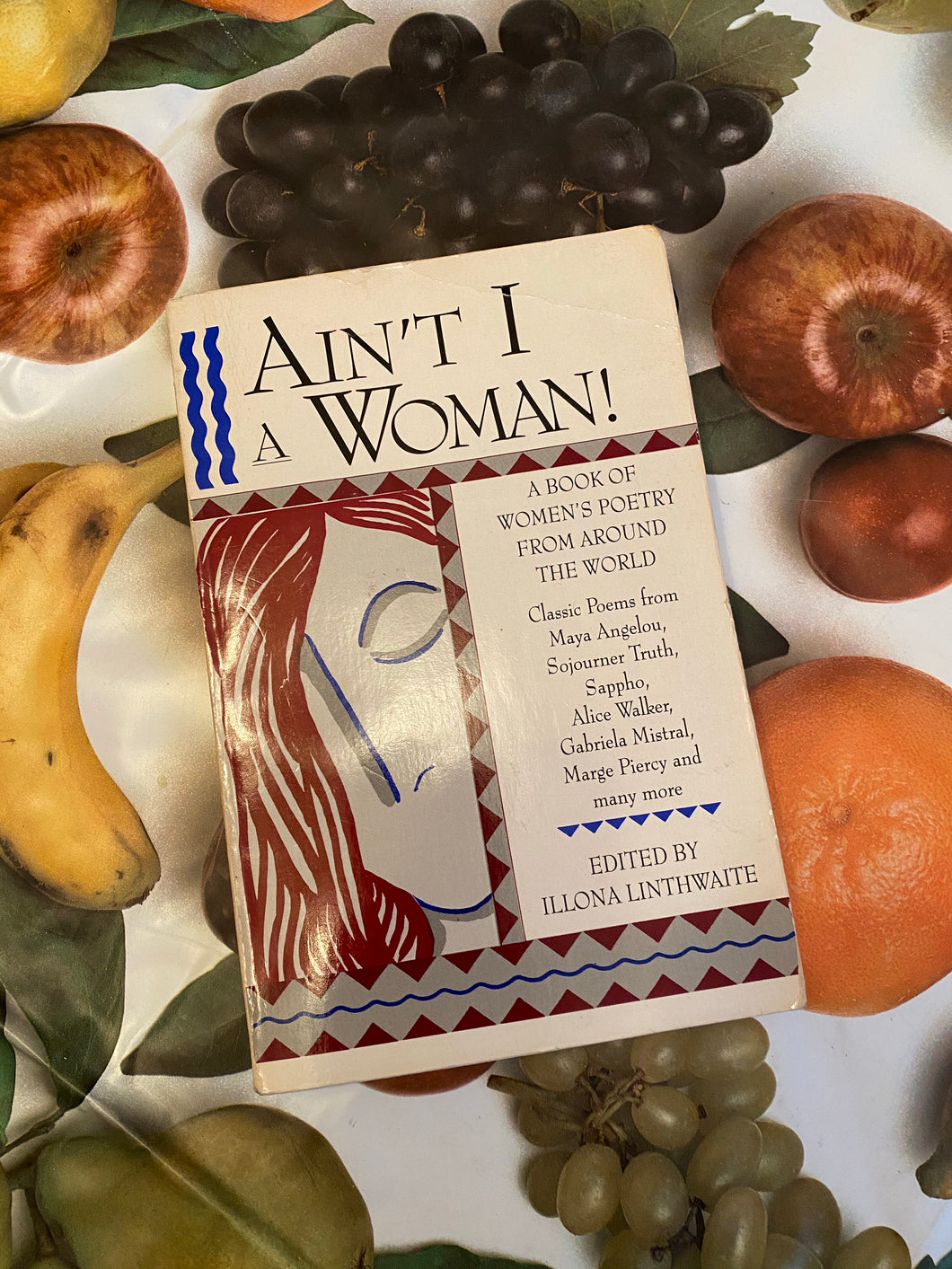 Ain’t I A Woman! Edited by Illini Linthwaithe